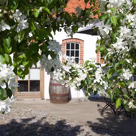 Lillevang Apartman Billund