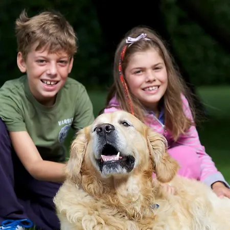 Lägenhet Lillevang Billund